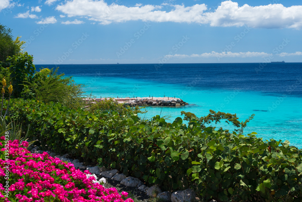 Dream travel destination all year - Caribbean islands, blue sea and colorful flowers