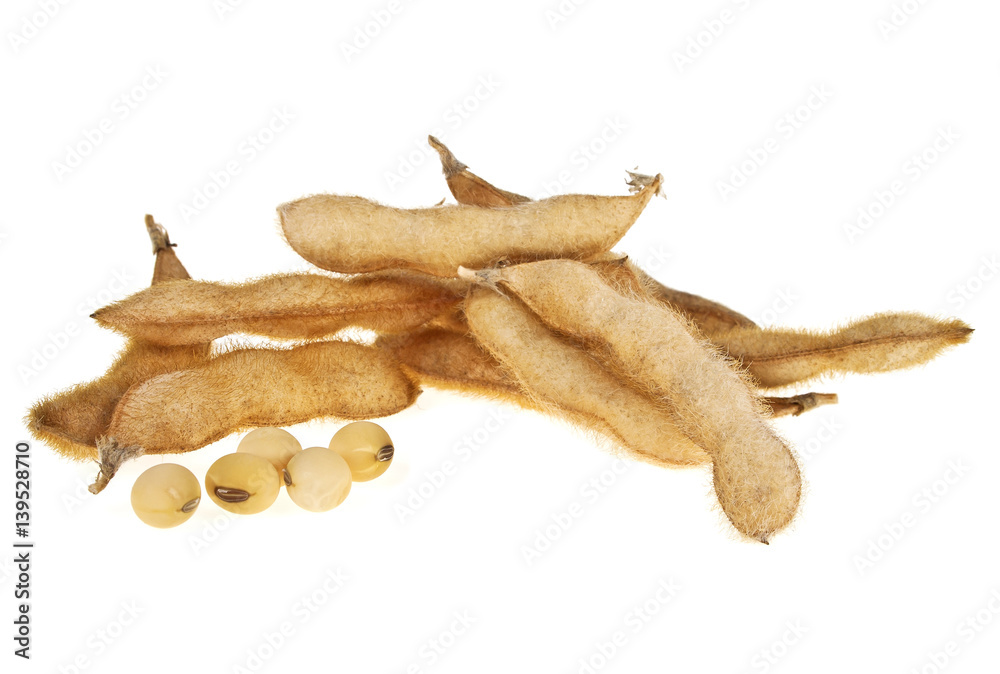 Fototapeta premium Soybean pods isolated on white background. Soya - protein plant for health food.