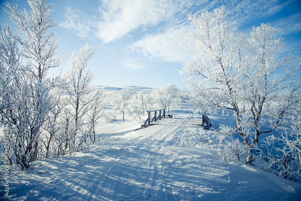 Fototapeta premium A beautiful white landscape if a snowy Norwegian winter day with a small wooden foot bridge