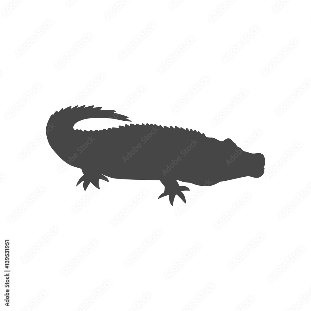 Obraz premium Crocodile - Illustration