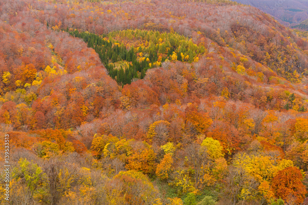 Autumn landscape Autumn landscape