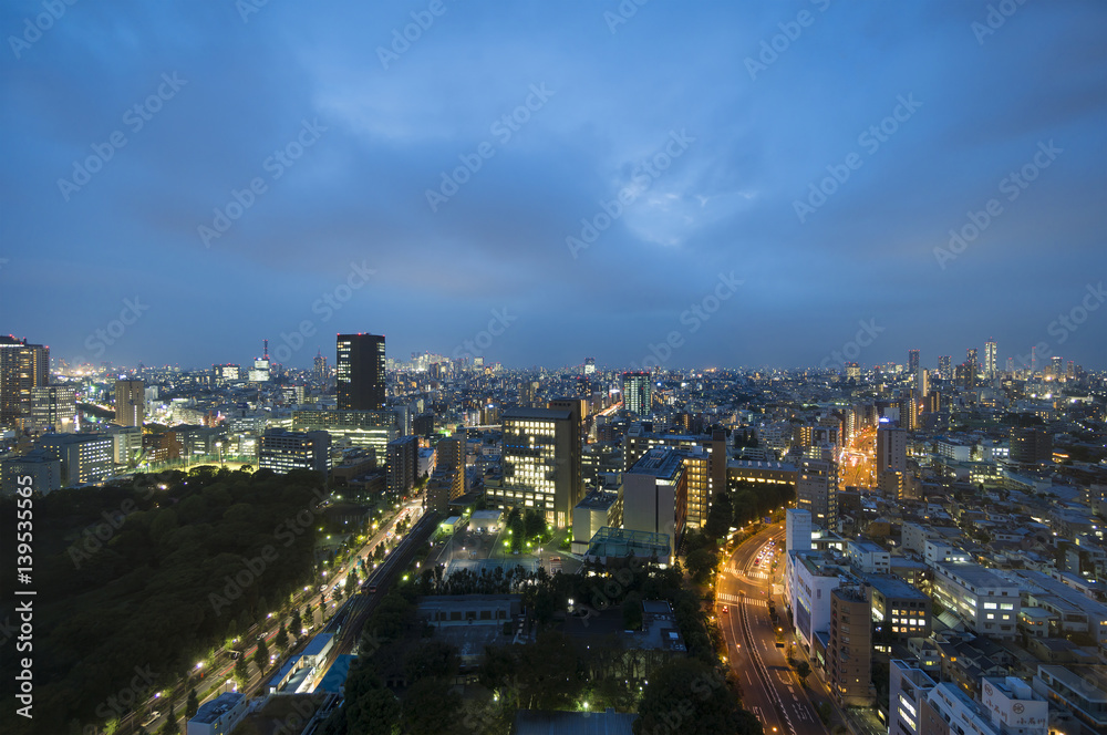 東京都市風景　夜景　都心全景　新宿から池袋まで