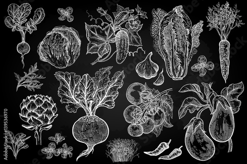 Vegetables set. Vintage graphics.