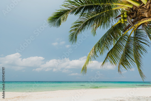 Beautiful  tropical beach with coconut tree palm © peangdao