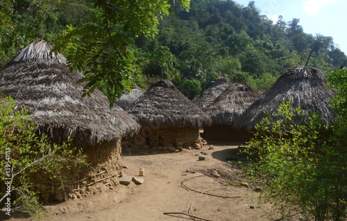Small huts of a quaint village of local tyronans on the hike to Ciudad Perdidad, Colombia photo