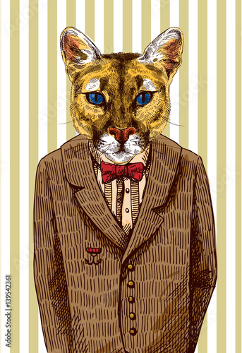 Puma in a jacket.