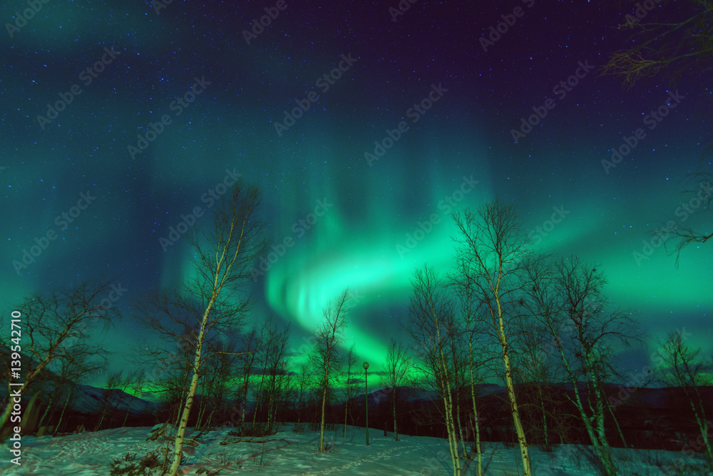 Northen lights phenomenon Aurora Borealis.