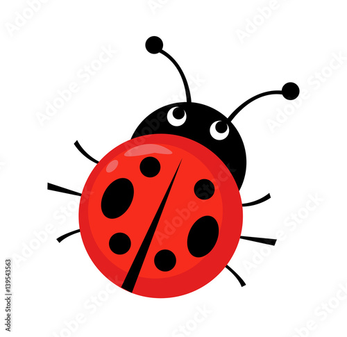Ladybug vector illustration