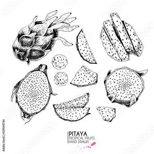Vector hand drawn set of exotic fruits. Ioslated pitaya. Engraved art. Delicicous tropical vegetarian objects.