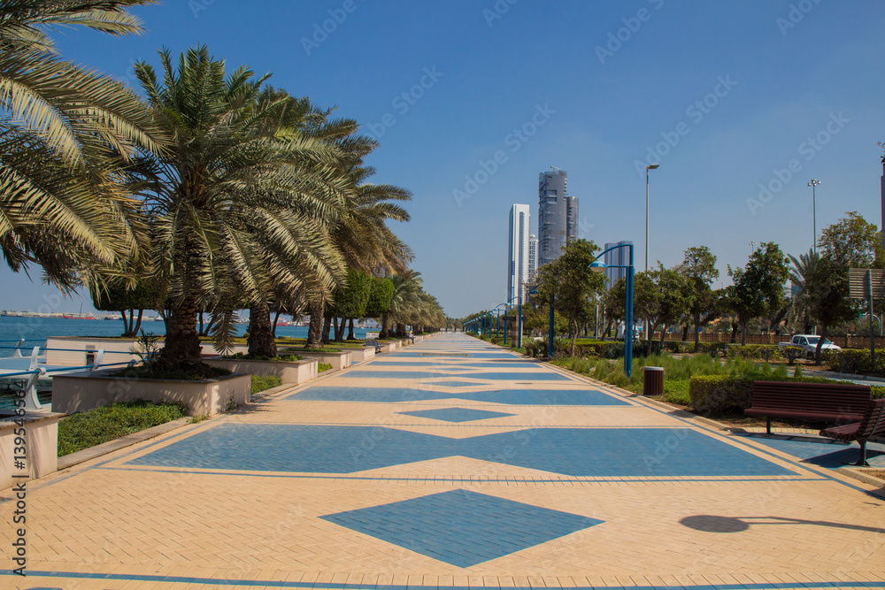 Obraz premium Corniche with palm trees in the city of Abu Dhabi, UAE