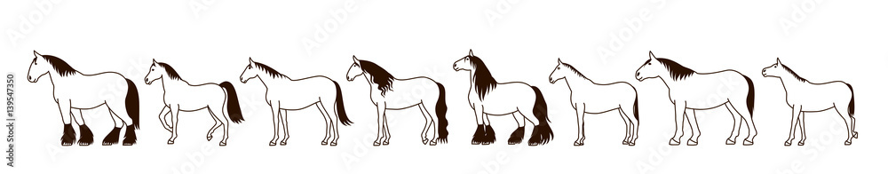 Horse silhouette banner Horse silhouette banner
