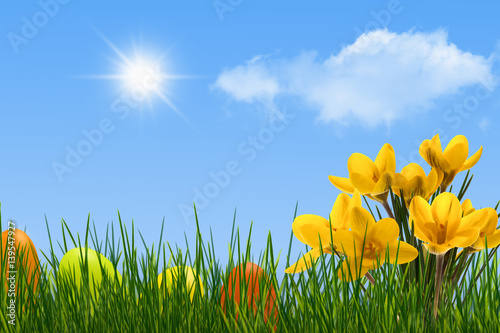 easter meadow with blue sky