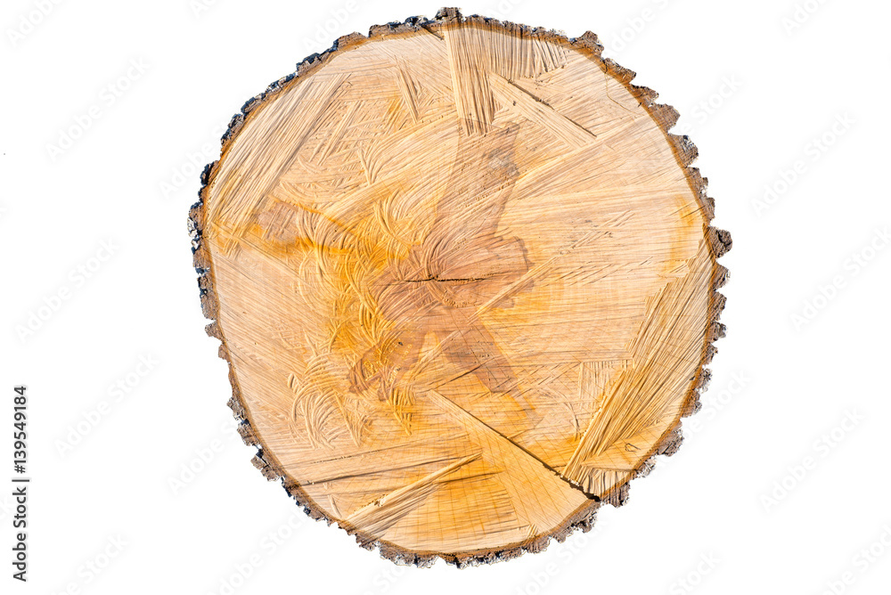 Slice the pear tree trunk