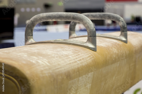 Принти на полотні Pommel Horse