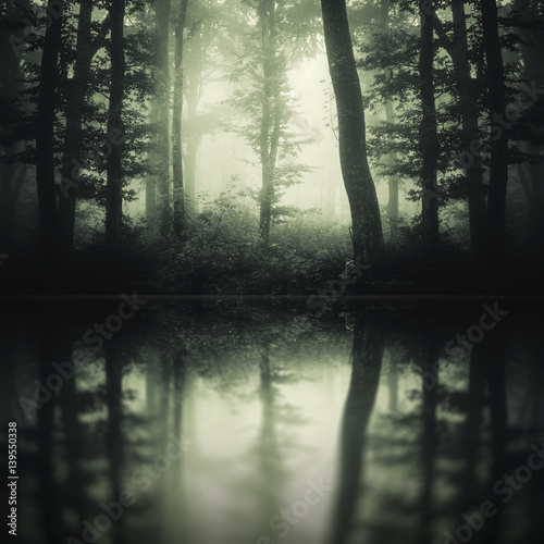 Fantasy forest lake. Trees in fog reflecting in water in dark surreal woods