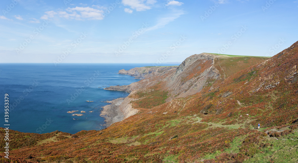 Cliffs and coastline around Crackington Haven in Cornwall, England, UK