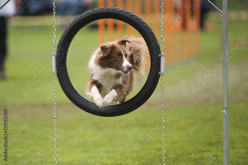 Nice jump