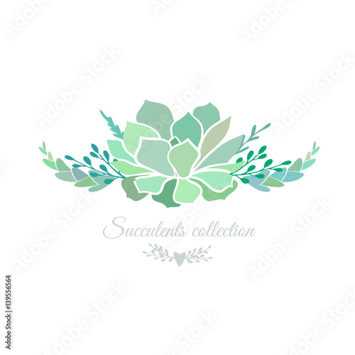 Vector floral composition with succulents isolated on white.