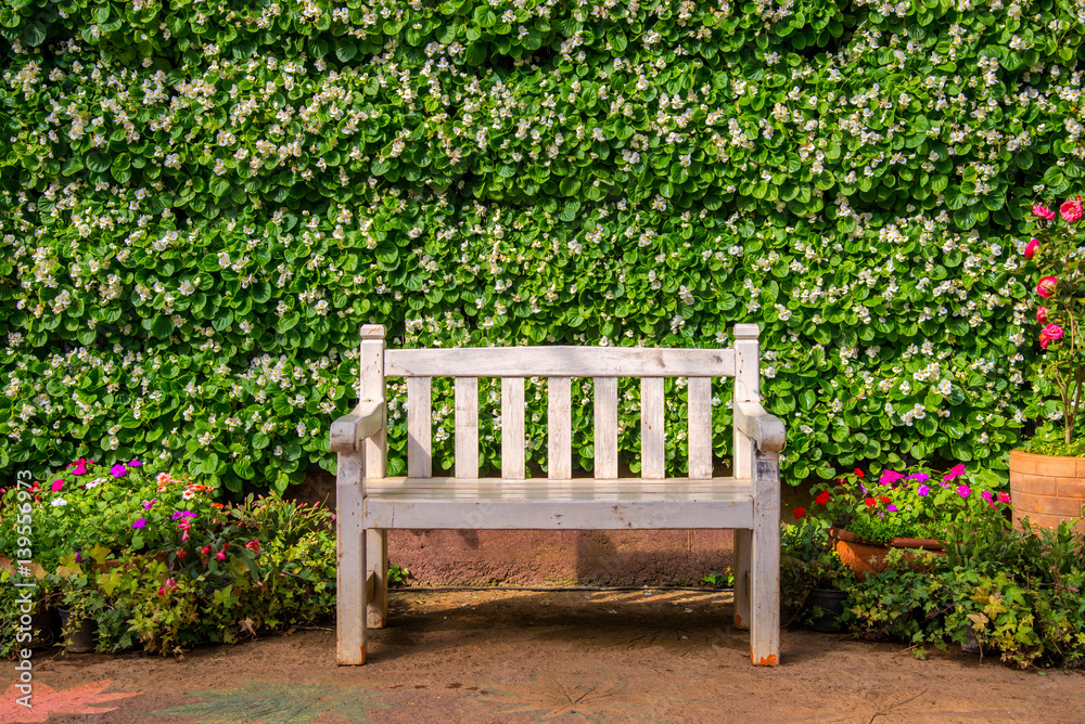 White bench with the green bush Background White bench with the green bush Background