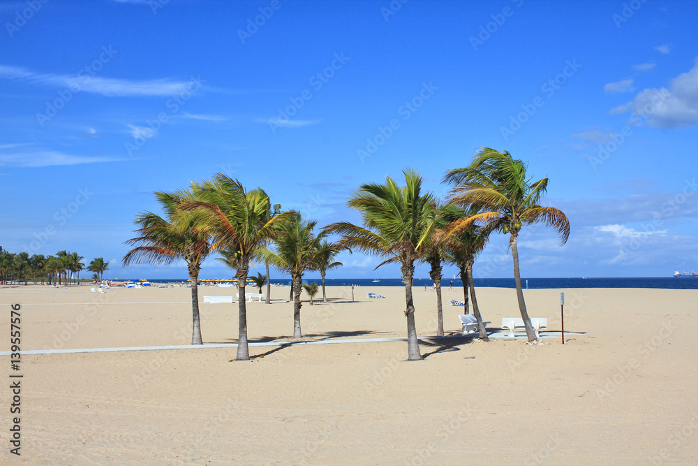 Beach in Florida Beach in Florida