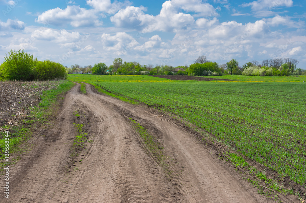 Spring landscape with an earth road near agricultural field in Dmukhailivka village, Dnipropetrovsk oblast, Ukraine Spring landscape with an earth road near agricultural field in Dmukhailivka village, Dnipropetrovsk oblast, Ukraine