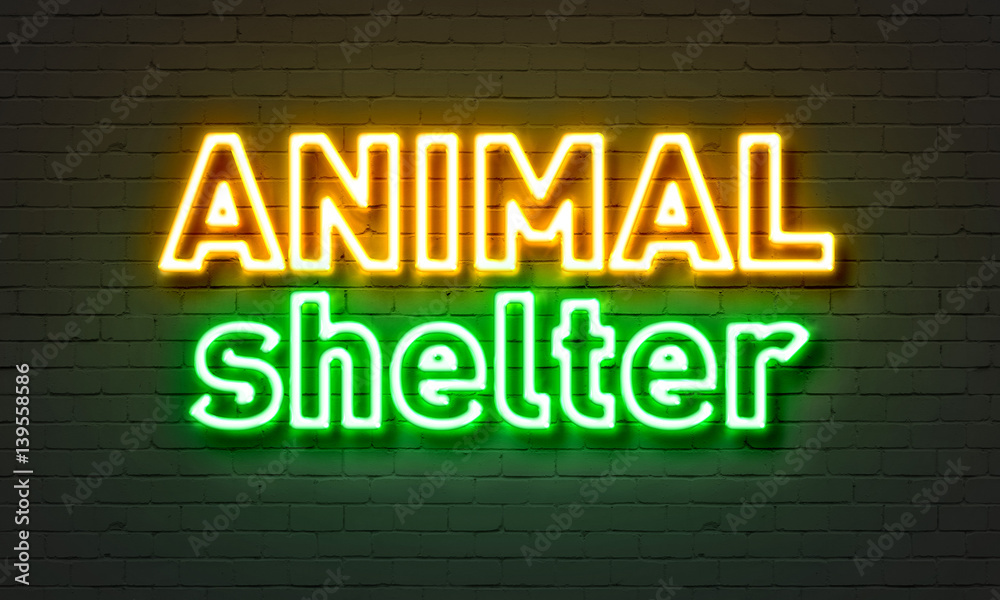 Animal shelter neon sign on brick wall background.