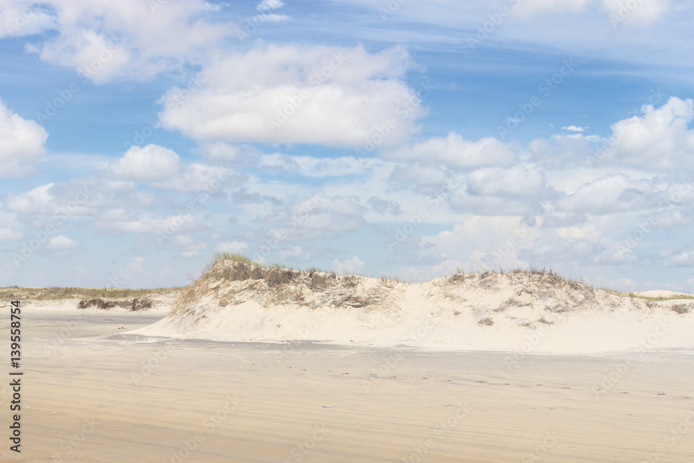 Wheel marks on the sand, dunes and vegetation of Mostardas beach