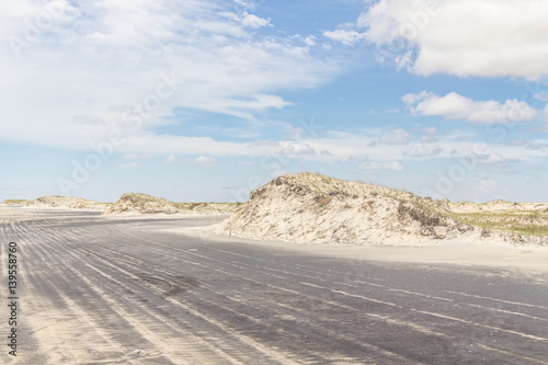 Wheel marks on the sand  dunes and vegetation of Mostardas beach