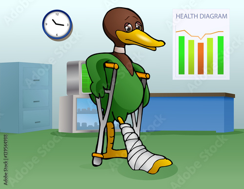 sick duck got injury in it leg using crutch