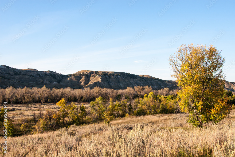 North Dakota Landscape