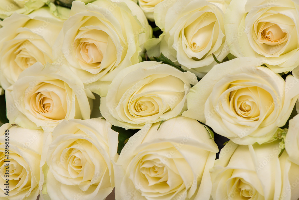 Closeup of a bunch of tender yellow roses background