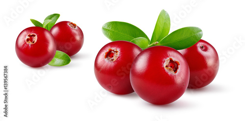 Cranberry with leaves. Group of fresh berries isolated on white. Full depth of field.