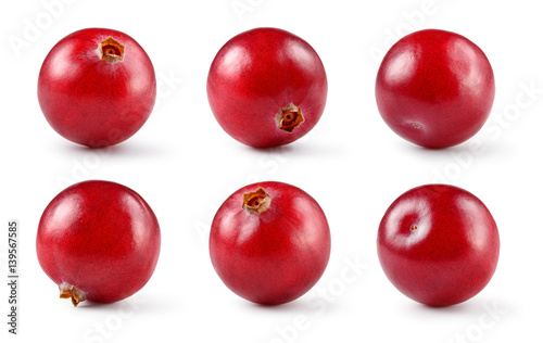 Cranberry. Berry isolated on white background. Collection. Full depth of field.