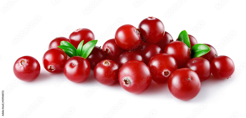 Cranberry. Heap of berries with leaves isolated on white backgrouund. Full depth of field.
