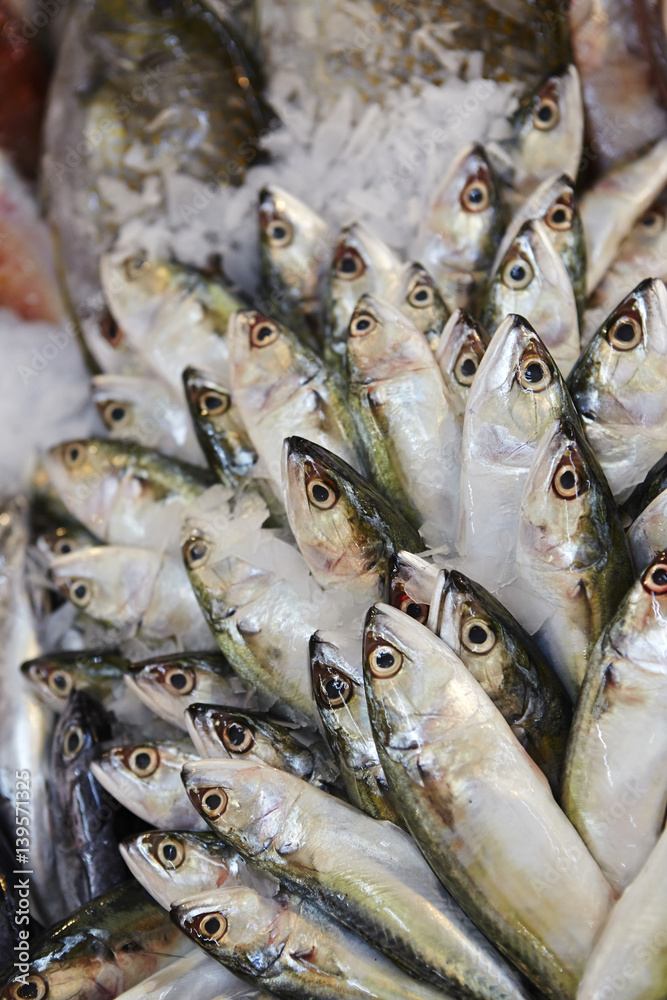 Obraz premium fresh fish
