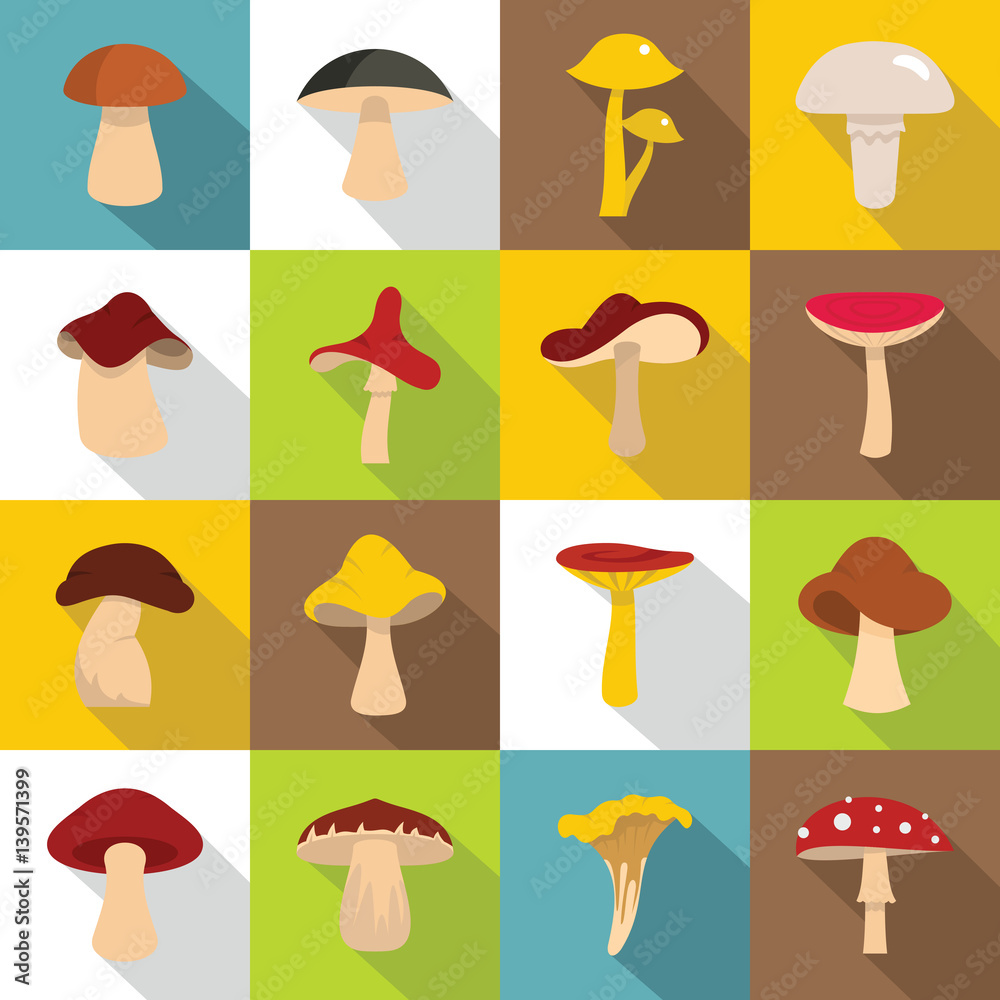Mushroom icons set, flat style