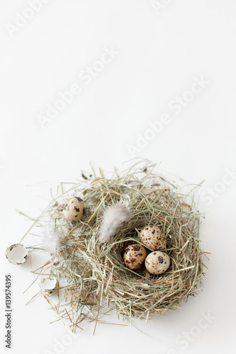 Easter decoration quail eggs lie in a bird's nest on a white background with space for text, daylight, vertical image, minimalism