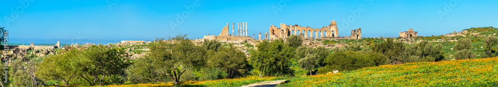 Panorama of the antique city of Volubilis, a UNESCO heritage site in Morocco