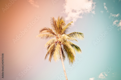 coconut tree under cloud and blue sky  vintage tone