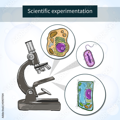 Cells under the microscope. Scientific laboratory. Vector illustration