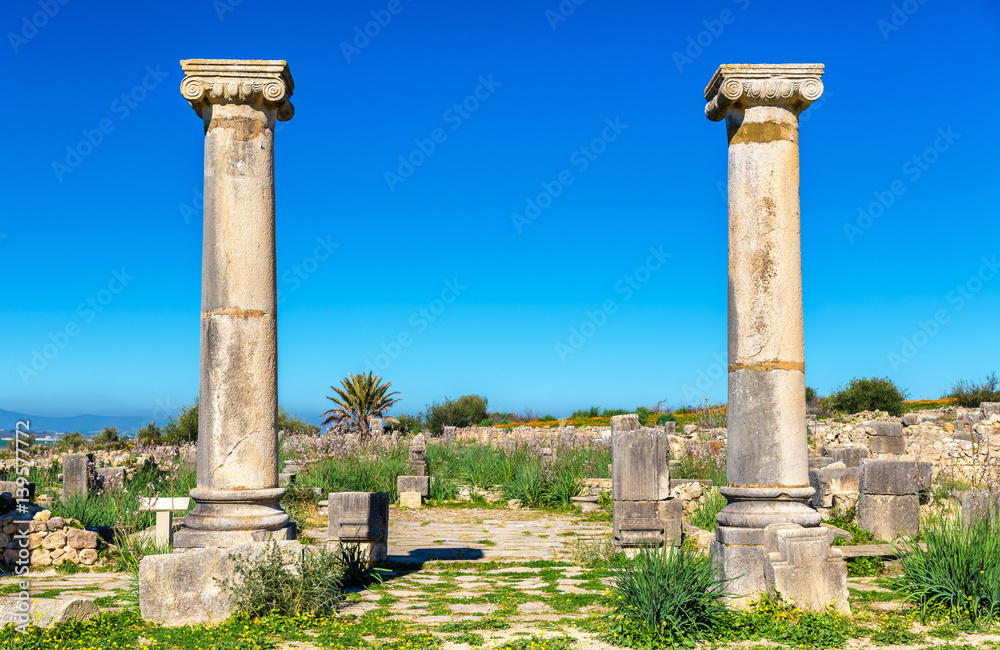 Ruins of Volubilis, a Berber and Roman city in Morocco Ruins of Volubilis, a Berber and Roman city in Morocco