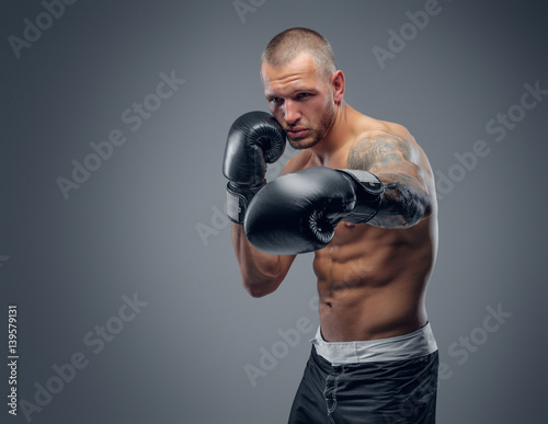 Portrait of shaved head fighter over grey background.