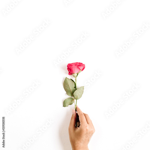 Beautiful red rose flower in girl's hand isolated on white background. Flat lay, top view. Mothers day or valentines day background.