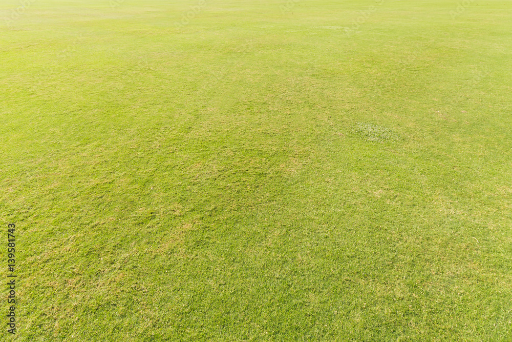 Green grass on the football field