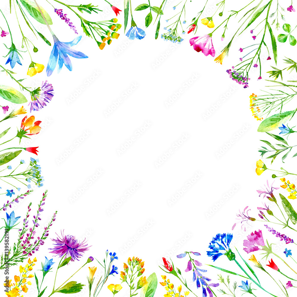 Floral round frame of a wild flowers and herbs on a white background.Buttercup,cornflower,clover,bluebell,forget-me-not,vetch,timothy grass,lobelia,snowdrop flowers.Watercolor hand drawn illustration.