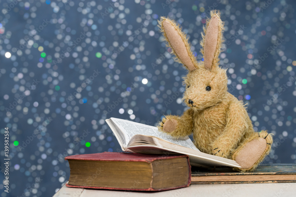Obraz premium Cute child's toy rabbit reading at story time.
