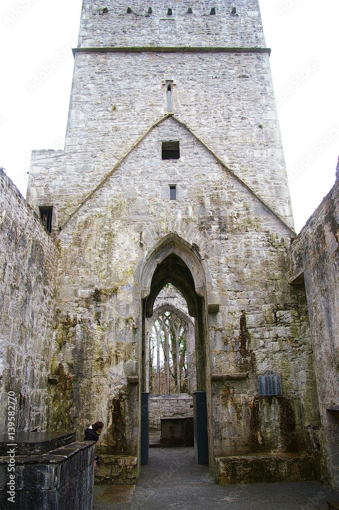 Entrance to a Gothic Church Ruin Ireland