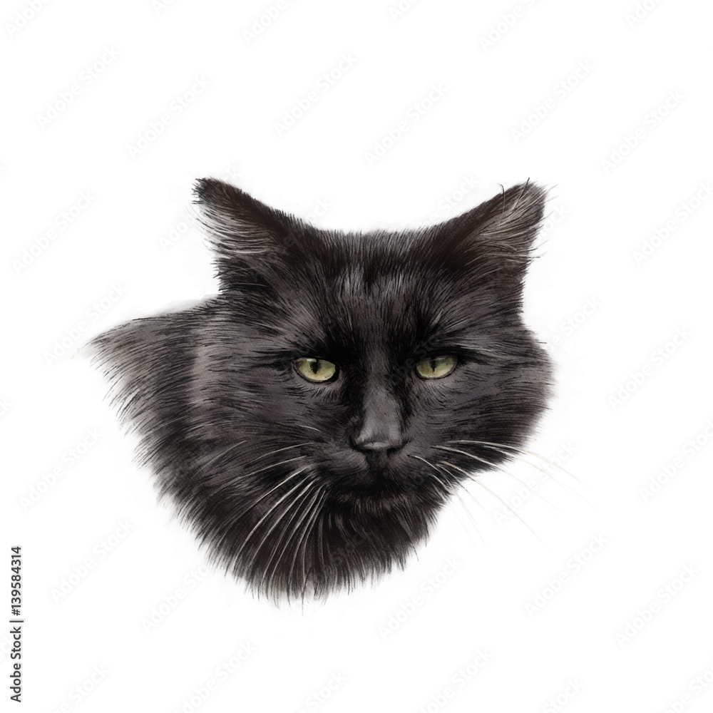 Cute Black Cat in Halloween Pumpkin Stock Vector - Illustration of  halloween, cartoon: 160996013