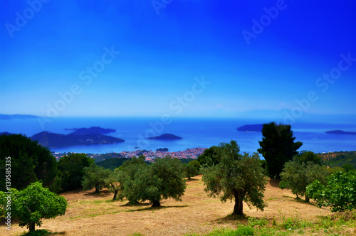 Olive trees view with seaside and ocean and sky on horizont, Skiathos landscape, Greece