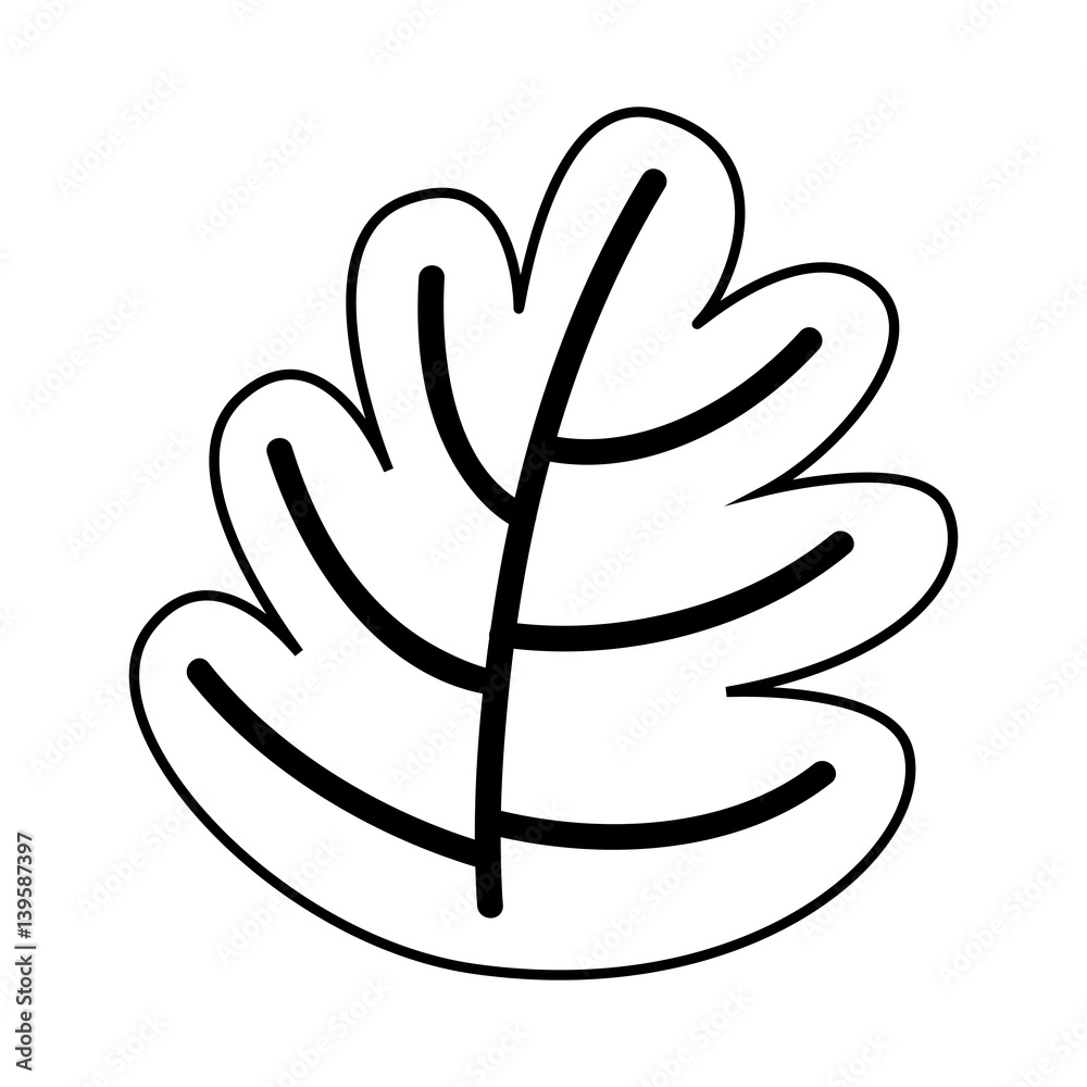 leafs plant natural icon vector illustration design leafs plant natural icon vector illustration design